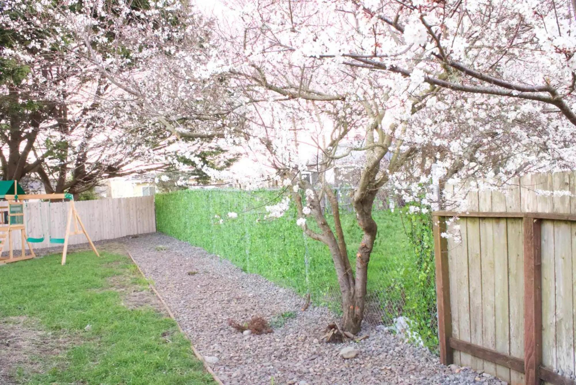 Private Home - Playground, Jumping Mat, Bbq, Darts, Firepit, Gazebo, 4 Smart Tvs, White Cotton Bedding, - The Redwood Cul-De Sac Beach Retreat Crescent City Luaran gambar